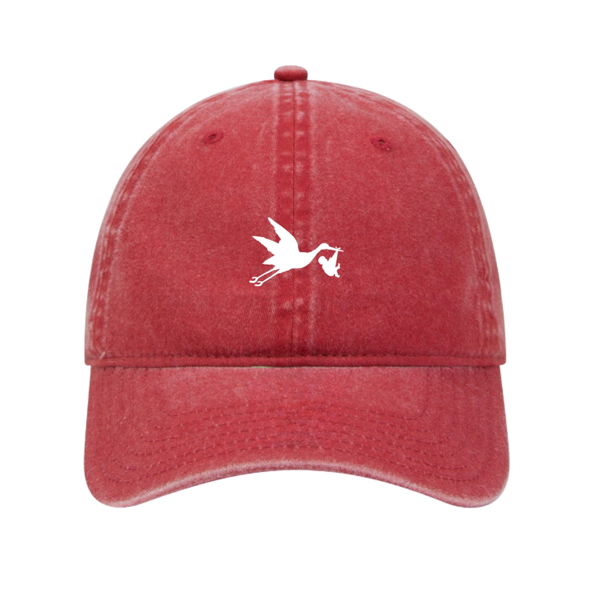 In Flight Embroidered Cap