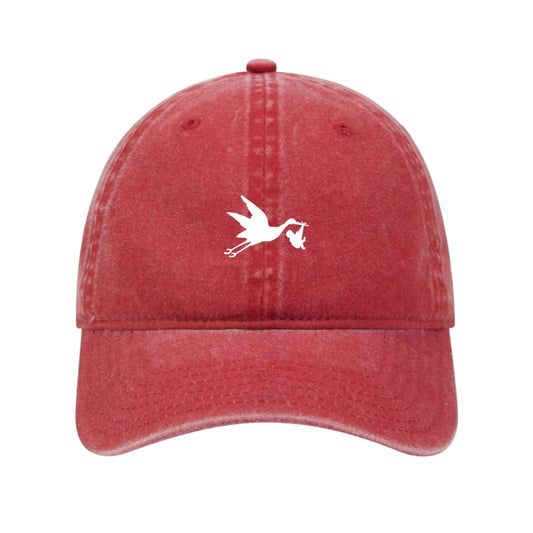 In Flight Embroidered Cap